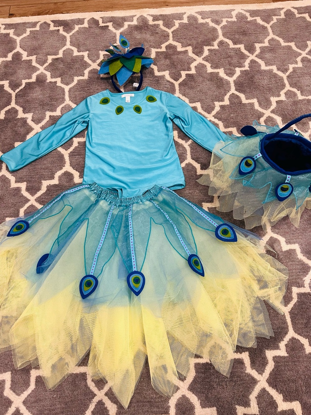 Pottery barn kids Peacock Tutu Costume with headband & treat bag!